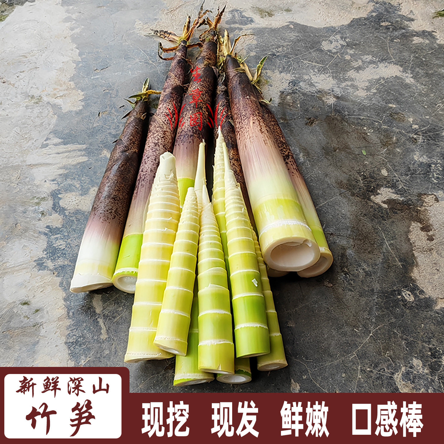 竹笋新鲜蔬菜现挖现发春竹鞭笋冬笋2/5斤包邮特产野生当季鲜笋子