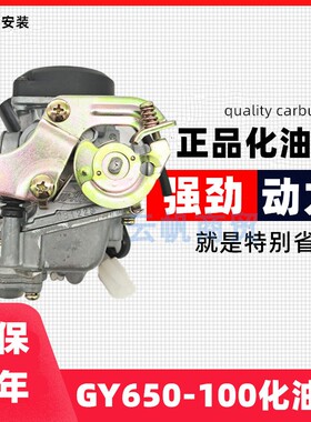 摩托车踏板车光阳GY650 豪迈80CC小帅哥100轻骑灵动化油器化油器