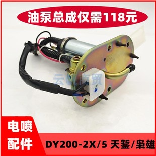 2X天錾油泵总成 5枭雄电喷配件大运摩托车DY200 适用大阳DY200