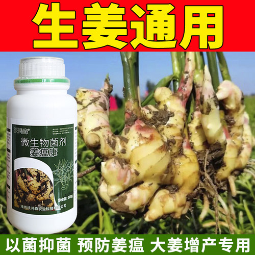 正宗姜瘟清生姜姜瘟净专用药正品