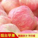 苹果好吃五斤红亮果园 山东烟台苹果水果栖霞红富士新鲜孕妇吃