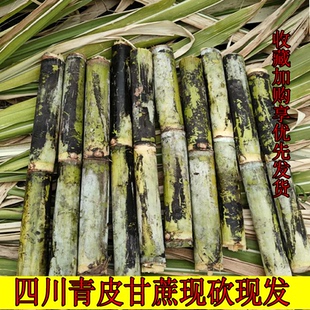 四川本地新鲜甘蔗水果剥皮当季特产孕妇果蔗正宗青皮甘蔗中段甜