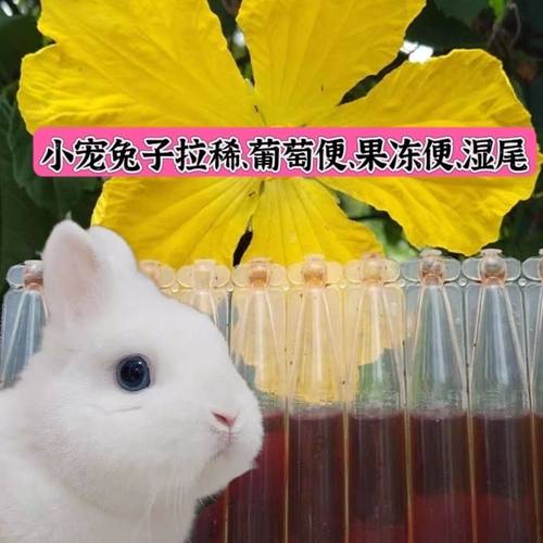 调理肠胃拉稀腹泻肠炎口服液