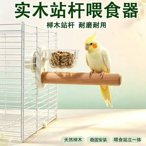 鹦鹉站杆啃咬磨爪解闷虎皮玄凤牡丹小太阳和尚专用鸟食盒食碗站棍