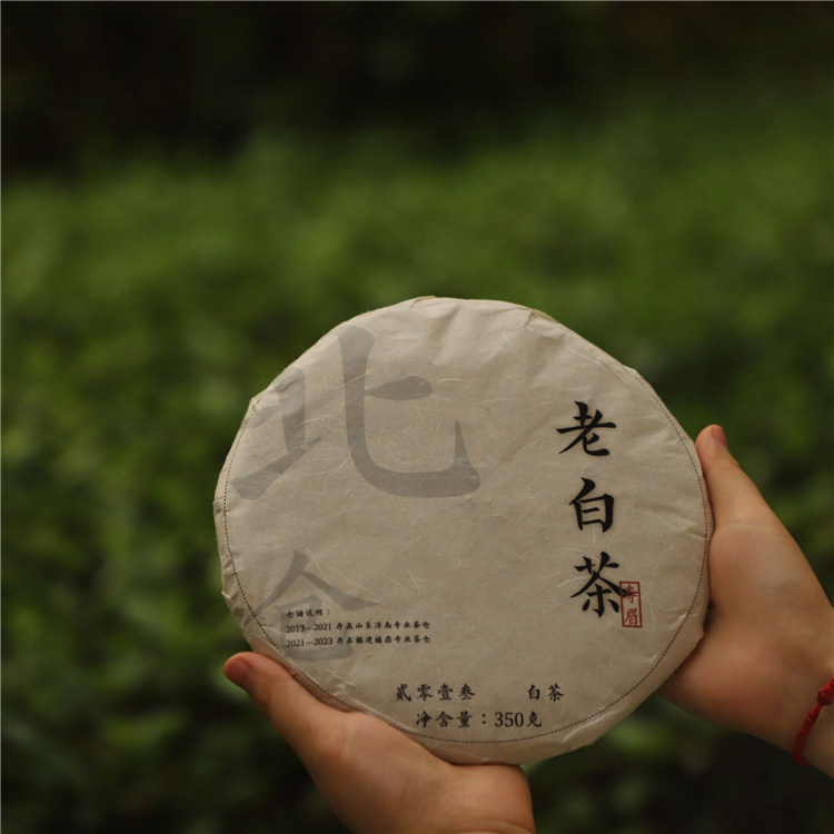 北仓丨2013年老寿眉 福鼎老白茶 2023出厂 秋茶适合煮茶焖茶350克