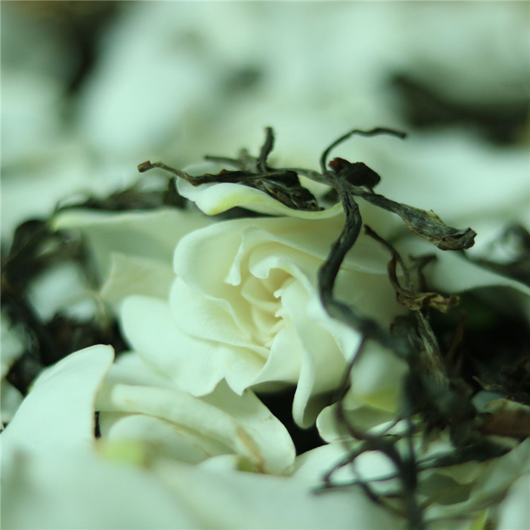 栀子于归 2022栀子花生普古树纯茶 全手工传统冷窨 散称5g*20小泡