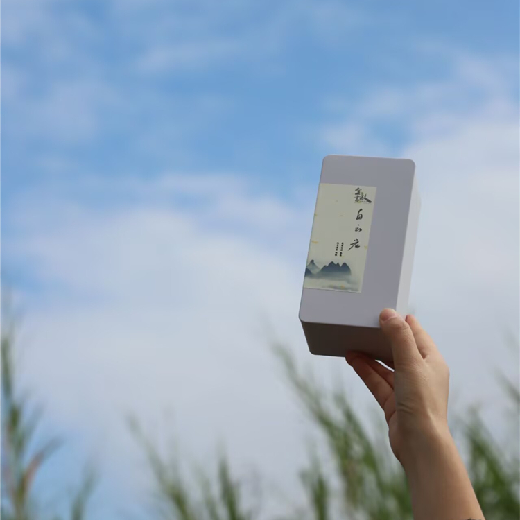 白云岩肉桂 2024正岩武夷岩茶 岩骨花香 中火 8.1克*6泡