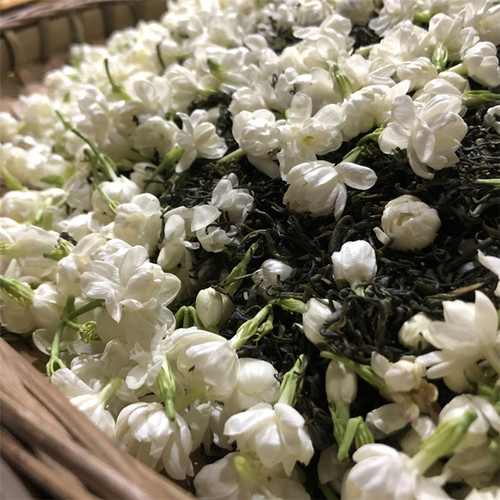 2026茉莉甘露绿茶四川 纯茉莉花窨制 99克（3.3g*30泡）