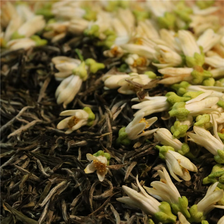 柚香白茶2022鲜代代花2018荒放白牡丹传统冷窨代代花茶 50克