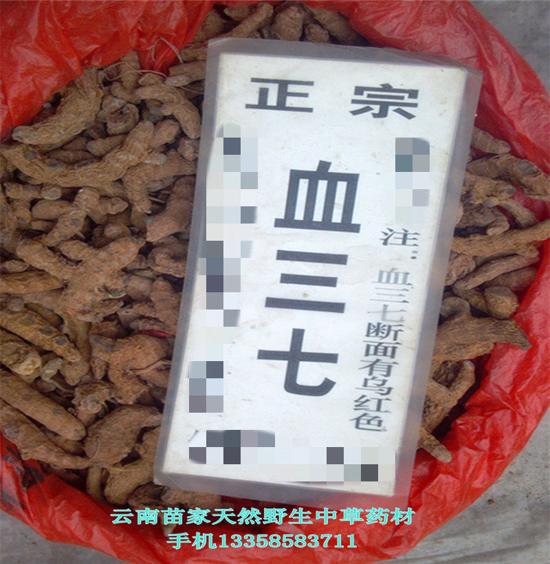 血三七：云南腾冲苗家特产天然野生中草药 中药材 泡酒料药酒料