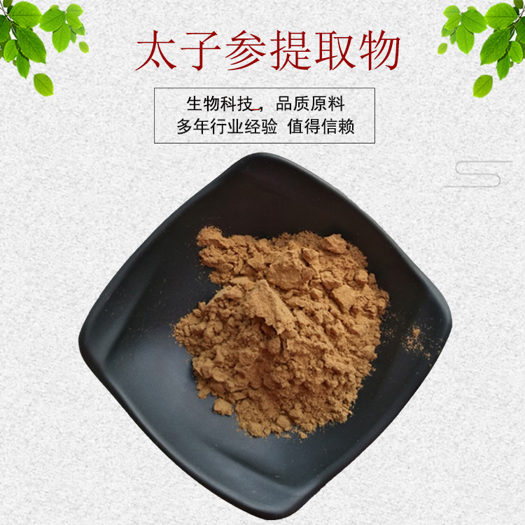 太子参提取物太子参浸膏粉