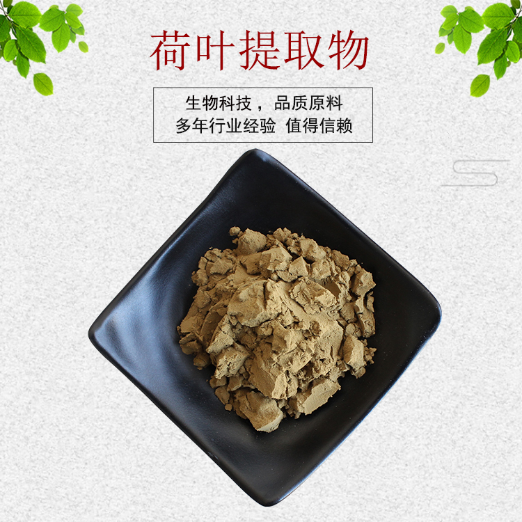荷叶提取物30:1 荷叶碱2% 荷叶粉 植物提取物 量大从优  现货包邮