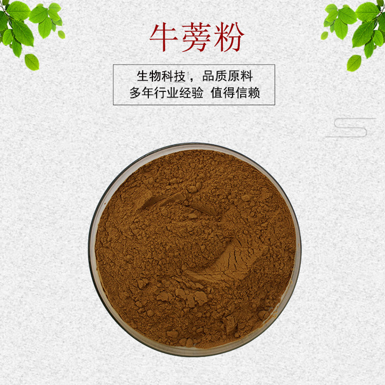 牛蒡子提取物 牛蒡子苷/甙 牛蒡粉 牛蒡根提取物 牛蒡子多糖 包邮