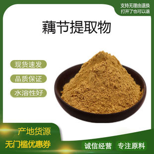 包邮 藕节巴浓缩粉 量大优惠 莲藕浓缩粉 藕节提取物30