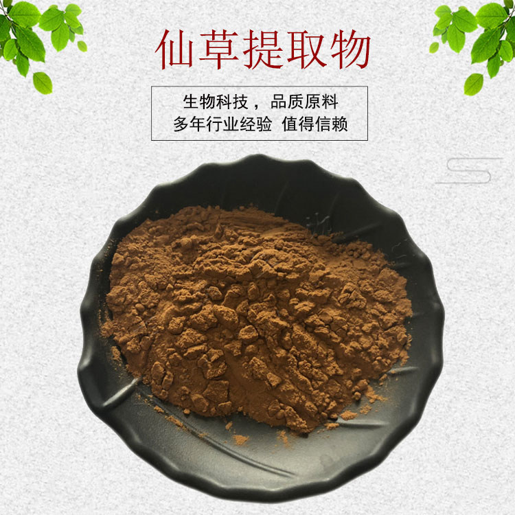 仙草提取物30:1 仙草粉 凉茶草粉 量大从优 资质齐全 包邮