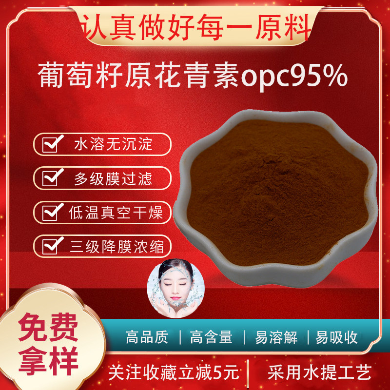 葡萄籽提取物95%原花青素/花青素 葡萄籽浓缩粉 OPC粉 量大包邮