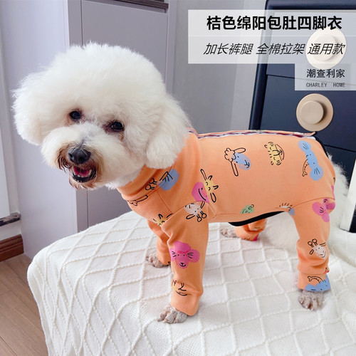 潮查利家泰迪比熊四脚衣服