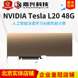 NVIDIA/英伟达 L4  L20 L40 L40S GPU显卡
