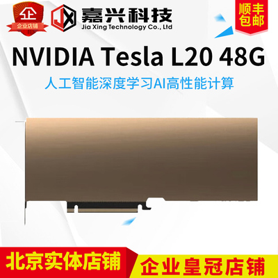 NVIDIA/英伟达 L4  L20 L40 L40S GPU显卡
