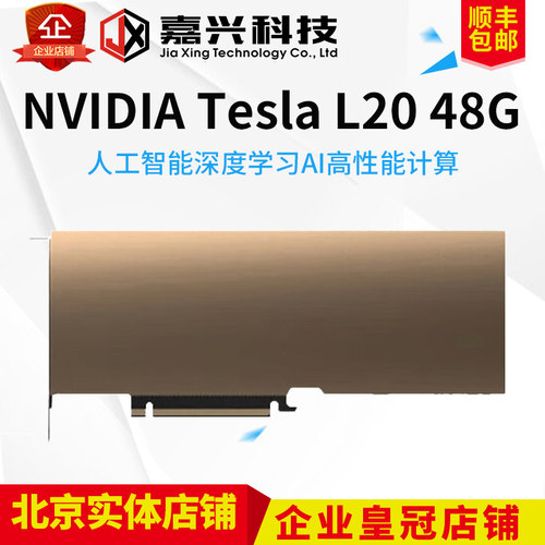 NVIDIA/英伟达 L4  L20 L40 L40S GPU显卡