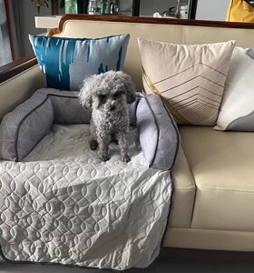 冷凉感 车用垫子春夏秋季款车载沙发窝隔垫 地板垫宠物狗窝猫窝