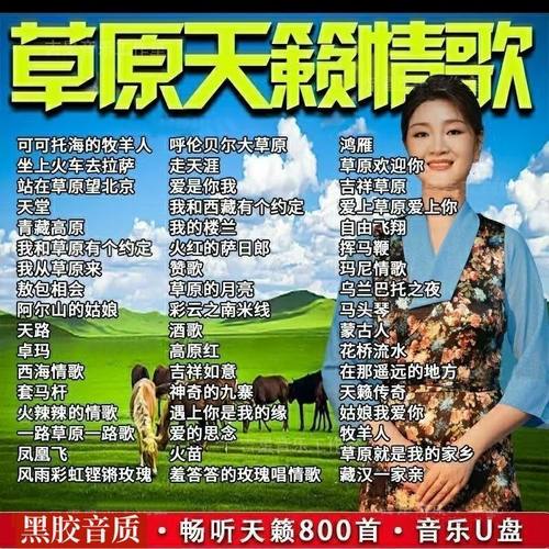 经典草原歌曲车载音乐u盘天籁之音高原情歌藏歌金曲视频mp3/4
