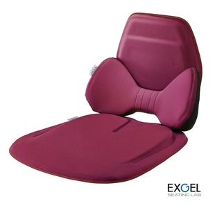 EXGEL汽车坐垫 缓解疲劳 腰靠 支撑护腰 透气靠垫 凝胶 日本原装