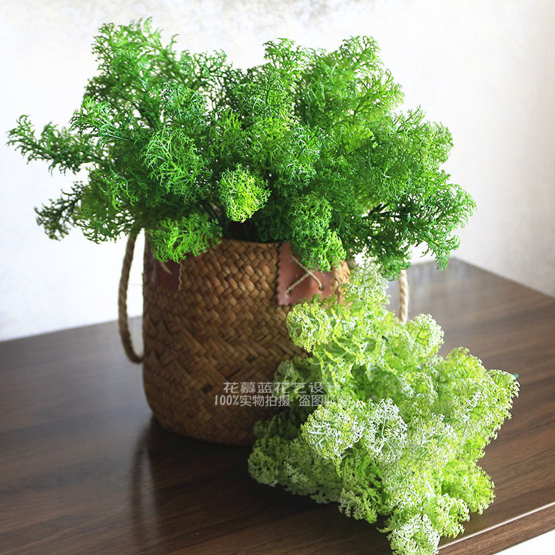 仿真苔藓绿植壁挂假青苔造景植物