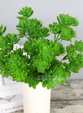 仿真荷叶草绿色多肉植物7叉宝石莲家居装饰把束珍珠莲绿植墙花草