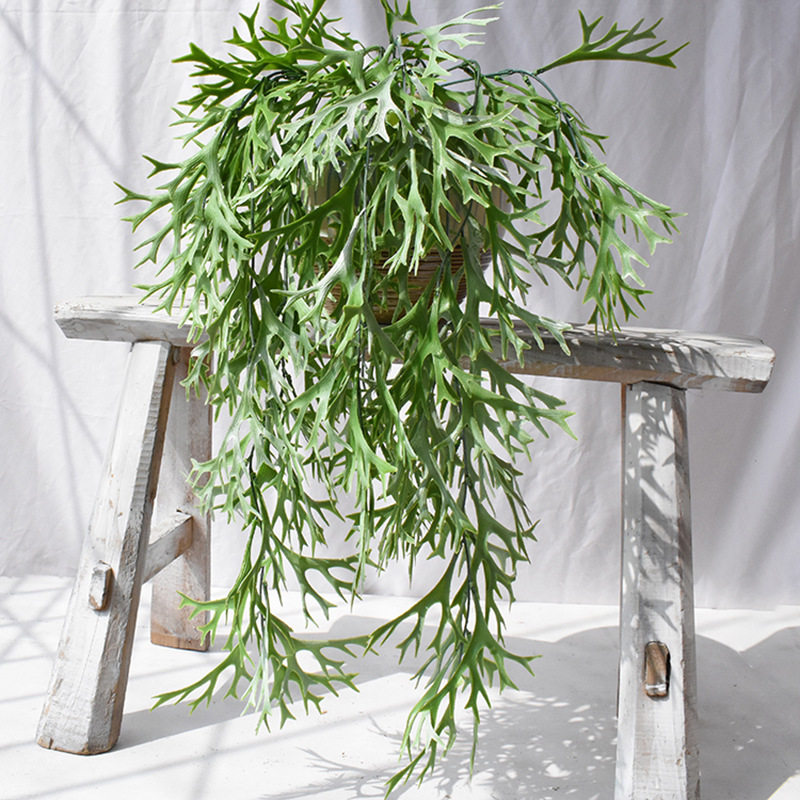 绿色蕨类垂吊藤蔓景观插花植物墙