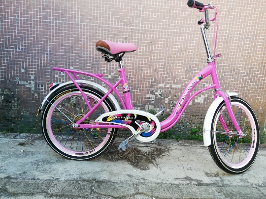 20寸上海凤凰车件有限公司自行车8-12岁中大童小学生男女孩单车