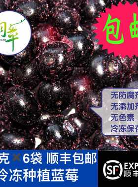 羽卒冷冻种植蓝莓6斤新鲜速冻