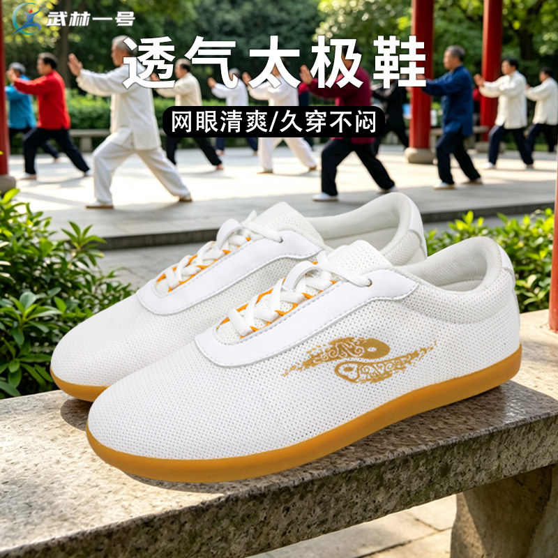 夏季薄款网眼透气太极鞋图片