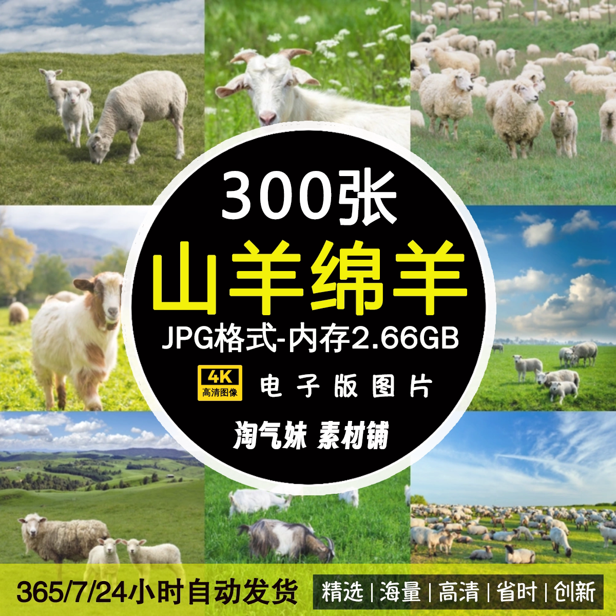 JPG高清羊图片山羊绵羊羚羊群小羊羔草原牧场家畜动物设计ps素材