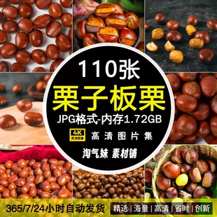 高清JPG栗子板栗图片新鲜油栗甘栗生栗糖炒栗子栗仁坚果摄影素材