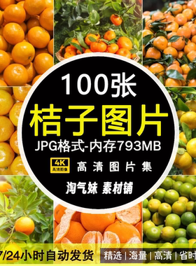 高清JPG桔子图片橘子芦柑砂糖橘蜜桔小金桔新鲜水果瓜果美食素材
