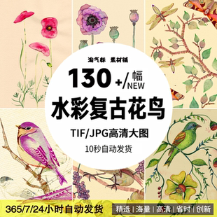 高清TIF花鸟水彩画图片植物花鸟鱼虫写生临摹喷绘打印装饰画素材