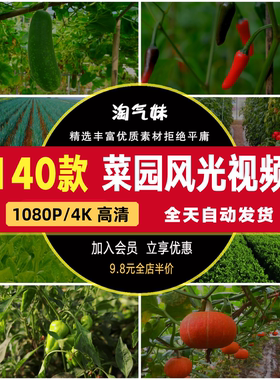 高清菜园风光视频有机绿色蔬菜大棚种植农作物农产品田园实拍素材