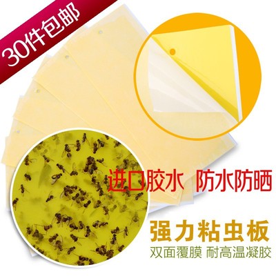 粘虫板除虫效果好方便快捷