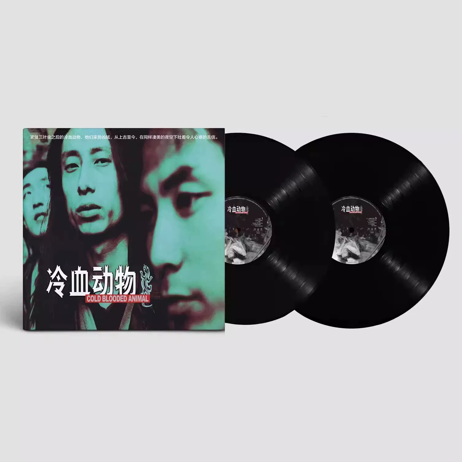 现货正版 谢天笑 冷血动物 彩胶 2LP黑胶唱片 留声机专用12寸大碟