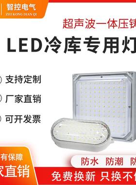 智控冷冻库房led三防灯防水防爆3c10瓦20w耐低温户外卫生间照明灯