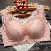 天天特价 性感蕾丝调整型聚拢内衣无钢圈美背收副乳女士文胸罩