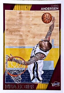 【iR】NBA球星卡 Panini 克里斯 安德森 Chris Andersen 普特卡