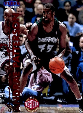【iR】NBA球星卡 Fleer 安德雷 帕特森 Andrae Patterson 普特卡