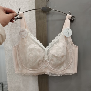 超薄单层蕾丝内衣女软钢圈显小全罩杯收副乳防凸防下垂文胸9945CD