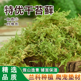 干苔藓蝴蝶兰花石斛种植专用营养土水苔育苗嫁接乌龟冬眠垫材透气