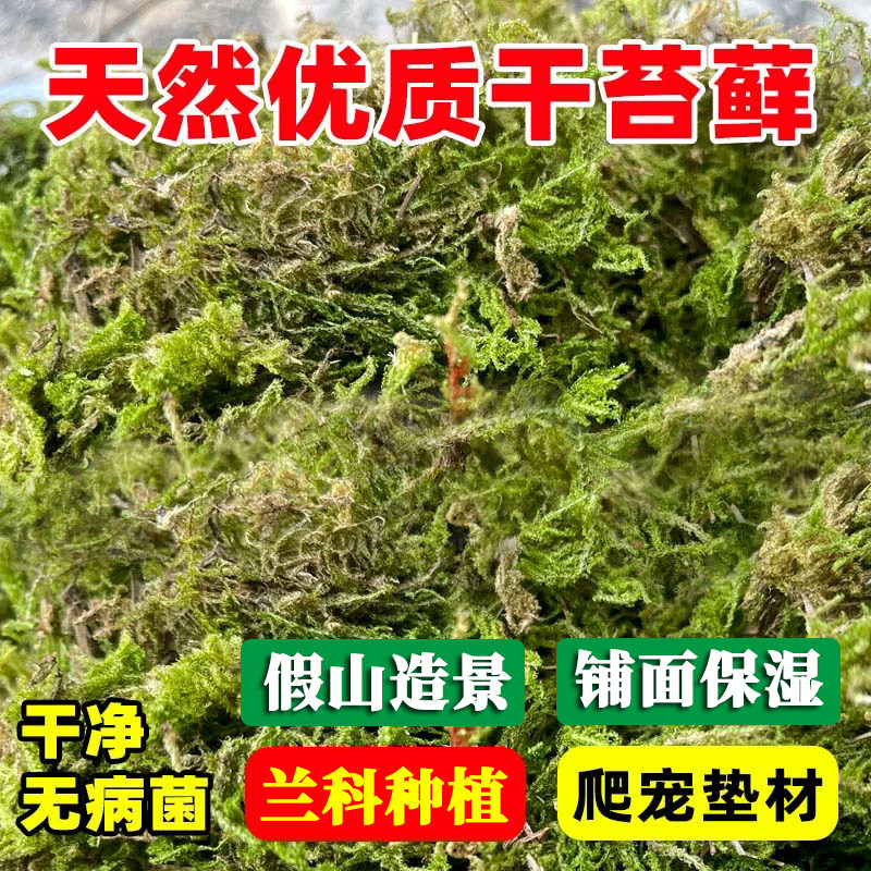 优质干苔藓蝴蝶兰石斛兰花营养土