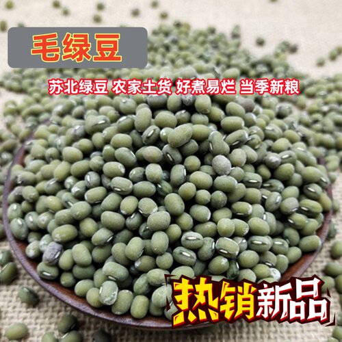 苏北新鲜毛绿豆当季新粮