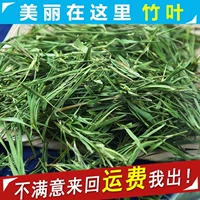 Любые 5 кусочков бесплатной доставки Laoshan Qingshan Bamboo Tea Tea Bamboo Bamboo Green Bamboo Leaf Leaf Light Bamboo Leaf Tea