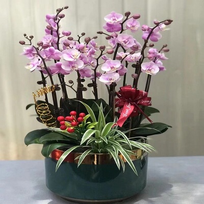 河源市鲜花卉店生日送礼蝴蝶兰水果篮源城区老隆镇龙川县和平县乔